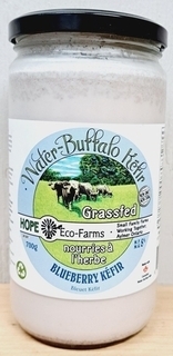Kefir Water Buffalo - Blueberry (Hope)